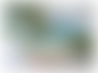 新藝潮畫廊 「 石中花 —— 鍾大富岩彩個展」