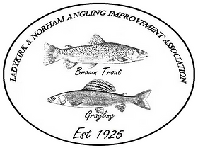 Ladykirk & Norham Angling Improvement Association logo