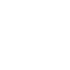 White phone icon