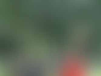 Four days of Easter weekend volleyball