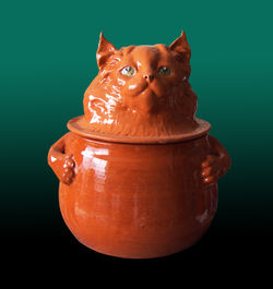 pentola gatto