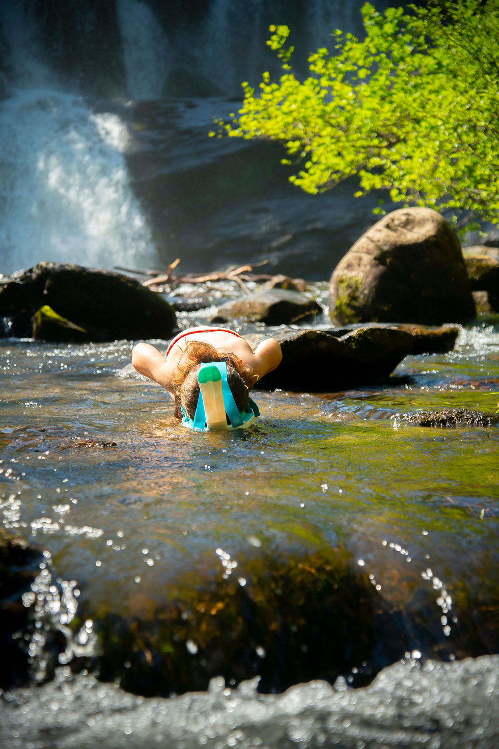 A little girl snorkles in a calm river with a waterfall in the background