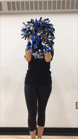 animated.GIF