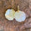 Thumbnail: Rosa Earrings | Mother of Pearl