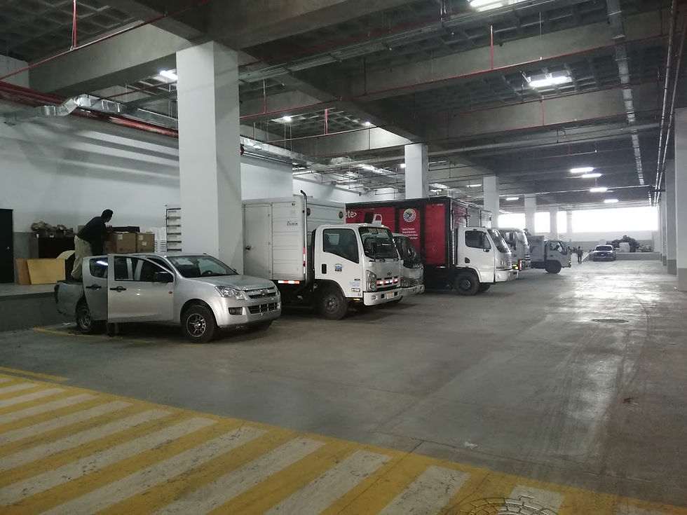 Flota vehicular
