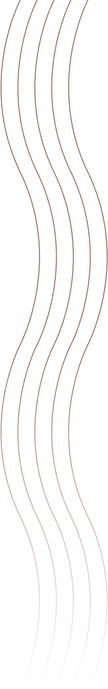 decore_edited.png
