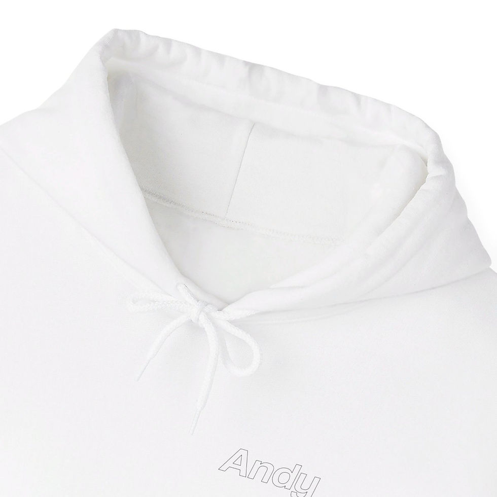 Thumbnail: Andy Radiators Adult Hoodie