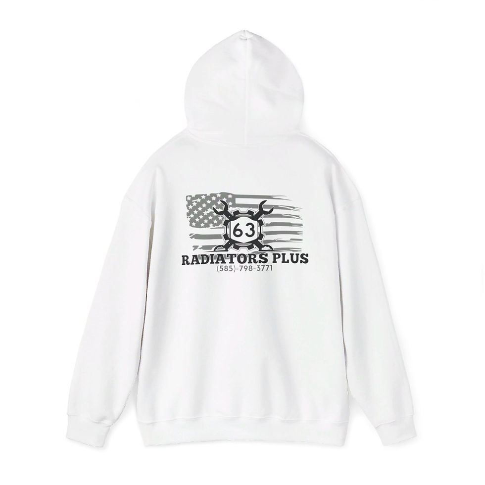 Thumbnail: Andy Radiators Adult Hoodie
