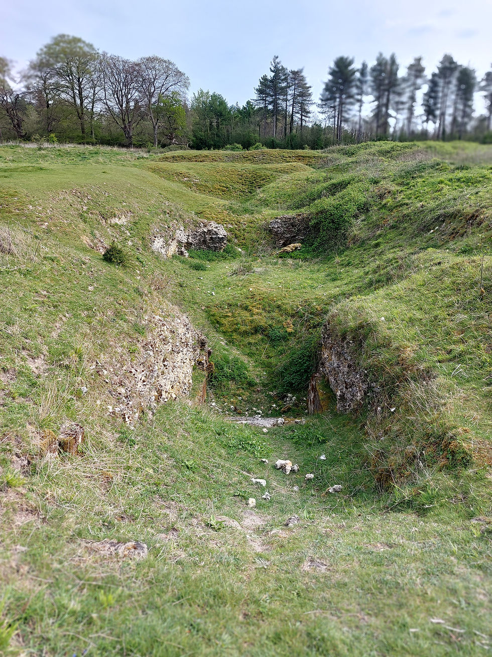 Figure 4.  Clarendon Palace ruins view looking down into the wine cellar. 