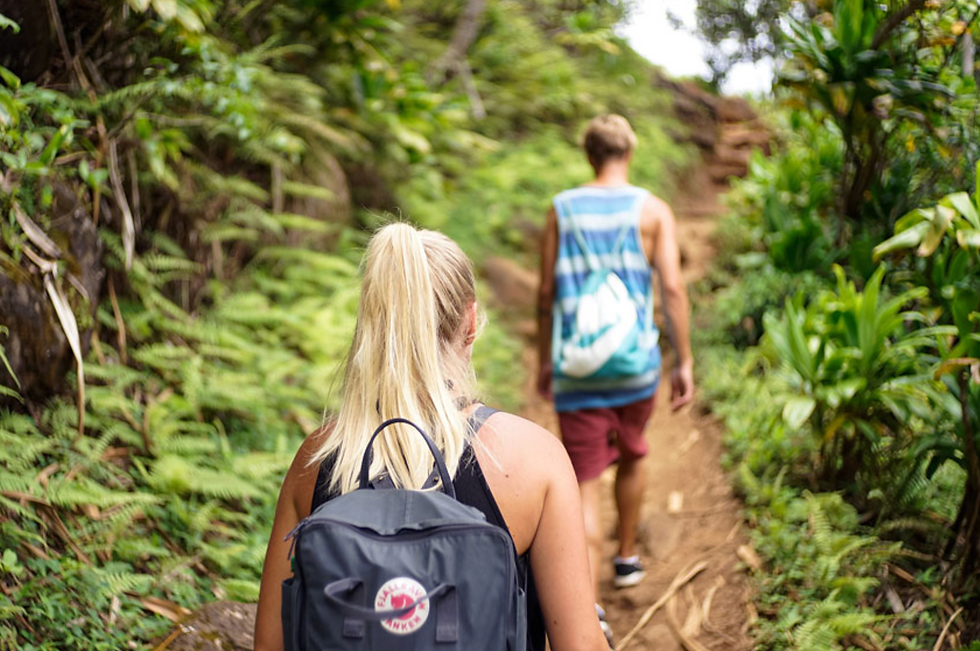 Guide en écotourisme