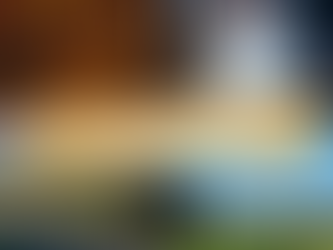 Agenda des Belles Adresses / Décembre 2025