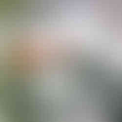 GarageTuff MMA Resin Flooring