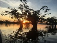Amazon lagoon sunset
