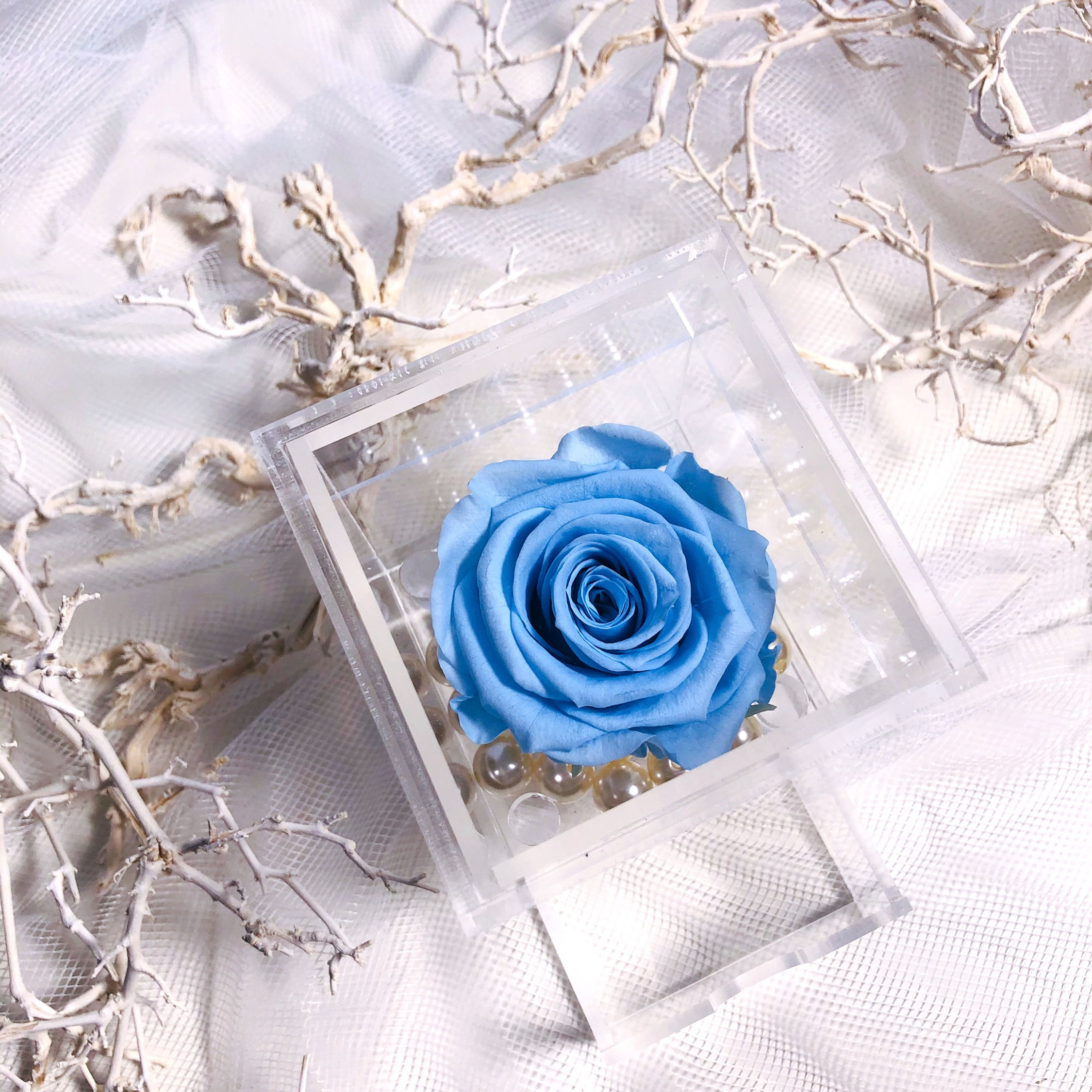 UN-0195 Single Rose in Mini Acrylic Box (Blue & Purple)