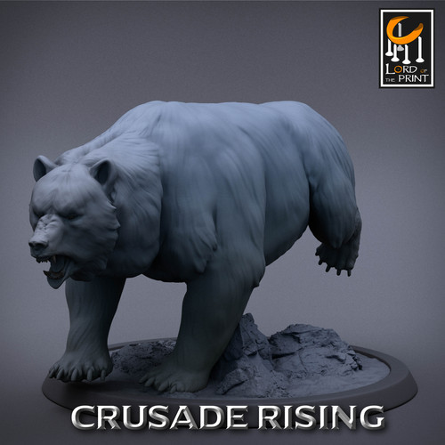 Wild Bears - CR | KnockedOffTheTable