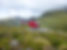 Fiordland 4 (Large).JPG