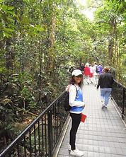 Mafalda Moutinho em Mossman Gorge.jpg