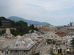 P1070456 (Medium).JPG