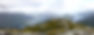 Fiordland 2 (Large).JPG