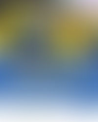 ¡COLOMBIA BRILLÓ EN LA 18ª COPA MUNDO CMAS DE NATACIÓN CON ALETAS!