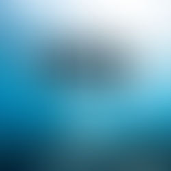 APNEISTAS INFORMACIÓN IMPORTANTE