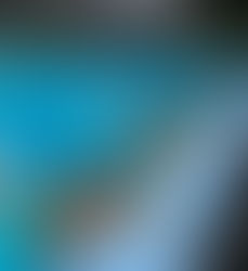 CAMPEONATO NACIONAL INTERCLUBES DE HOCKEY SUBACUÁTICO CATEGORÍA ÉLITE