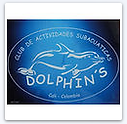 dolphins.png