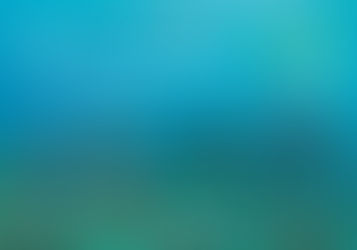 CURSO INTERNACIONAL VI BUCEO CIENTÍFICO