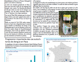                   Bulletin N°10                                                              Bilan de la saison estivale 2024