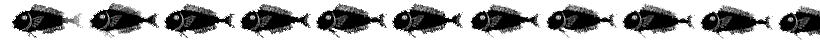 fish header.gif