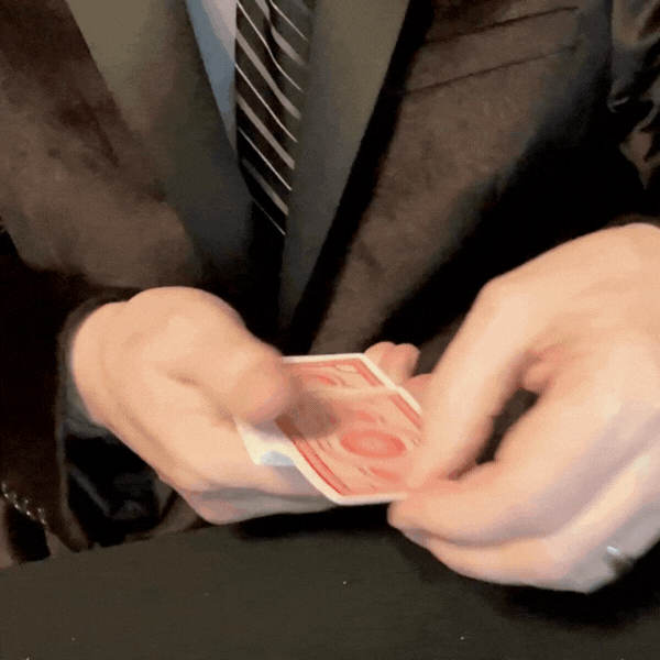 transform (reduced).gif