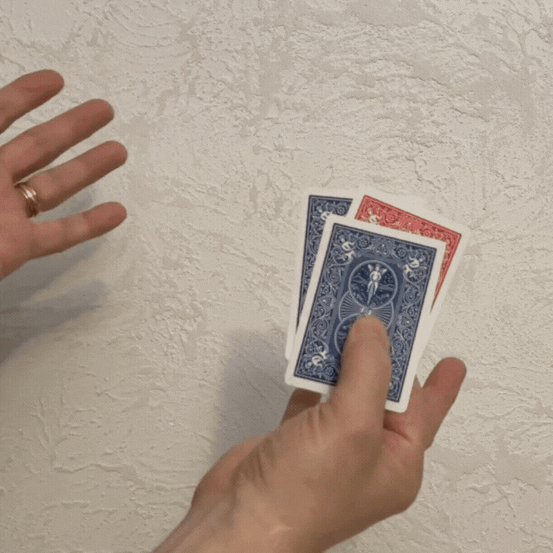 Whyley Elusive Lady HOUDINI slowmo (reduced).gif