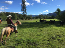 Open Position for Agriculture & Range Planner I