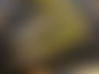 Natural Floating Treatment Wetlands for Cleaner Water and Improved Habitat