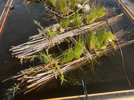 Natural Floating Treatment Wetlands for Cleaner Water and Improved Habitat