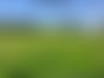 Drought and Relinquishment