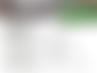 After the Fire: Flood Risk for Cedar Creek Area