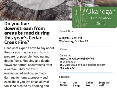 After the Fire: Flood Risk for Cedar Creek Area