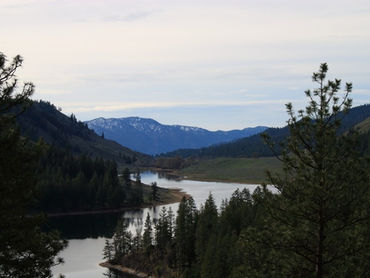 Open Position for Agriculture Lead