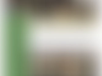 Summer Newsletter 2023