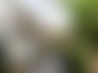 Your AirHost and Holiday Cottage Handbook join forces