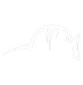 Untitled design (9).png