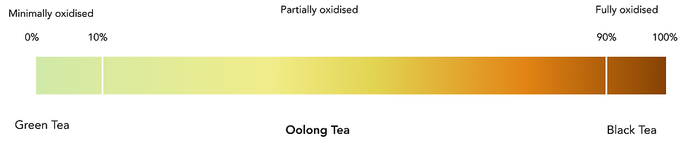 oolong tea partial oxidation range