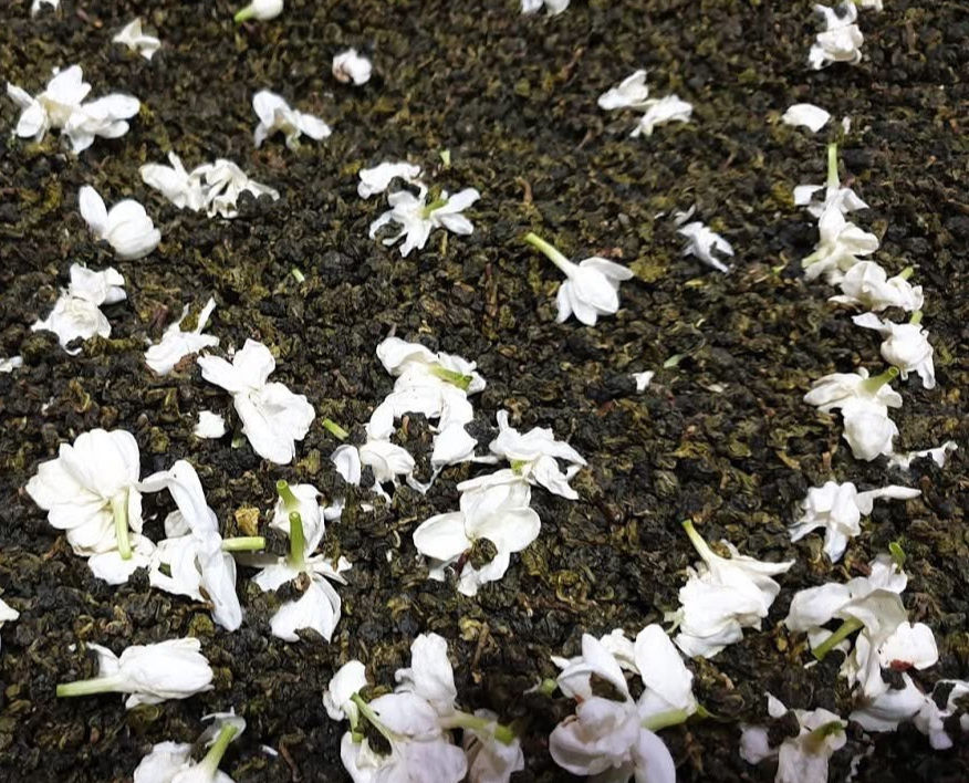 Jasmine (before drying)