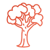 deciduous-tree.png