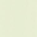Texture_Fond_clair.jpeg