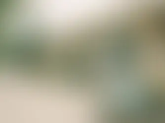 Data security in special education