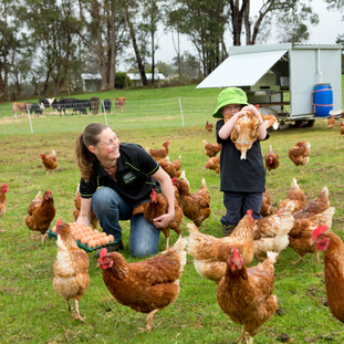 Charcol Springs Pastered Eggs