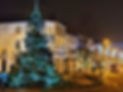 christmas tree 2020 portrait 1.jpg