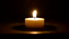 TreeOfRemembranceCandle240.gif